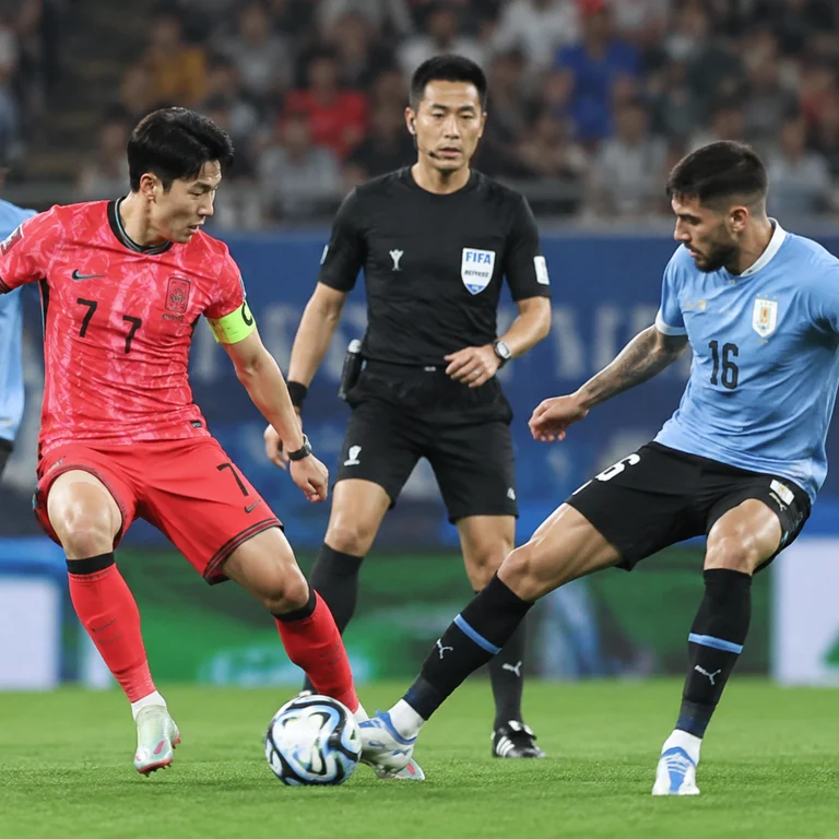 马宁执法韩国与乌拉圭比赛后的赛场资料图